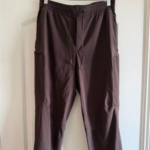 Lululemon License to Train Jogger (Rich Espresso - Men’s Large)